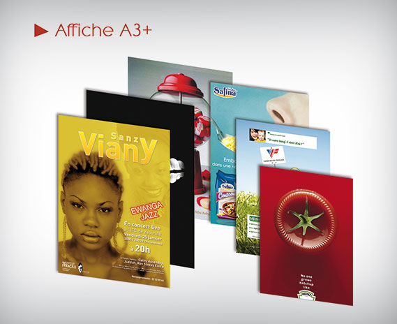 Affiche A3+ (30x50 cm)